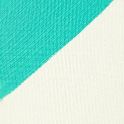 Liquitex Professional Clear Gesso Primer -Painting Tool Shop 094376932188 LQX PRO MEDIUMS CLEAR GESSO WEBSITE SWATCH