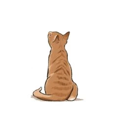 10 Step Drawing: Cats - J. Lecouffe -Painting Tool Shop 10 Step Drawing Cats 1