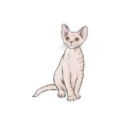 10 Step Drawing: Cats - J. Lecouffe -Painting Tool Shop 10 Step Drawing Cats 2