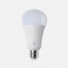 Daylight 15W LED Bulb (ES Cap) (Screw Fitting)