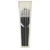 Pro Arte Scholar Brush Set - 34WB