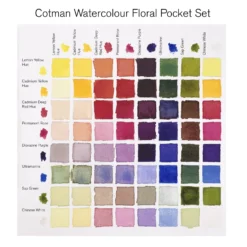 Winsor & Newton Cotman Watercolour FLORAL Pocket Set -Painting Tool Shop 884955081129 W NCOTMANWATERCOLOUR8HPFLORALPOCKETSET TINTSGUIDE3 .TIF 7e099423 5f8b 4a4b 9500 5ba35a33e5df