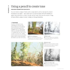 Artist's Painting Techniques -Painting Tool Shop Artists painting techniques creating tones