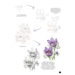 Draw 100: Flowers - J. Whittle & P. Brown -Painting Tool Shop Draw 100 Flowers 2