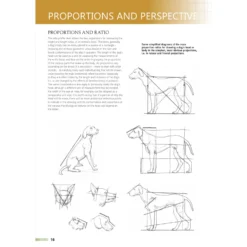 Drawing Animals Using Grids - G. Civardi -Painting Tool Shop Drawing Animals Using Grids 2