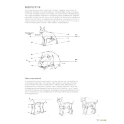 Drawing Animals Using Grids - G. Civardi -Painting Tool Shop Drawing Animals Using Grids 3