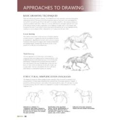 Drawing Animals Using Grids - G. Civardi -Painting Tool Shop Drawing Animals Using Grids 4