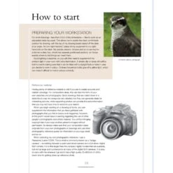 Drawing Birds - A. Forkner -Painting Tool Shop Drawing Birds 3