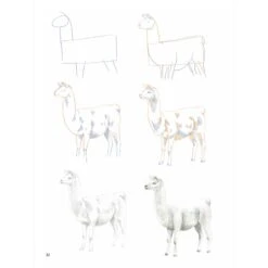 How To Draw: Farm Animals In Simple Steps - S. Hodge -Painting Tool Shop How To Draw Farm Animals 3