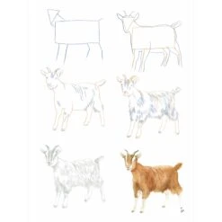 How To Draw: Farm Animals In Simple Steps - S. Hodge -Painting Tool Shop How To Draw Farm Animals 4