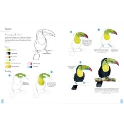 Paint 50: Watercolour Animals - M. Bakasova -Painting Tool Shop Paint 50 Animals 4