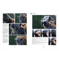 Painting Dog Portraits In Acrylics - D. White -Painting Tool Shop Painting Dogs 3