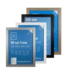 GB Eye Contemporary Economy Frames