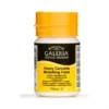 Winsor & Newton Galeria Heavy Carvable Modelling Paste 250ml