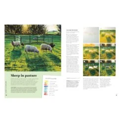 Paint 50 Landscapes By J. F. Dowden -Painting Tool Shop landscapes sheep in pasture