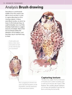 The Watercolour Artist's Bible - M. Scott -Painting Tool Shop page10 927bd4b7 3913 4208 9c9c c170abb99588