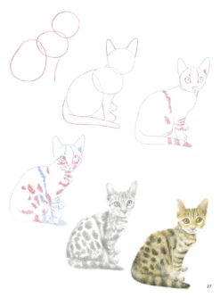 How To Draw: Kittens In Simple Steps - S. Hodge -Painting Tool Shop page7 1b720606 4df3 4b13 bd90 04d62331aabb