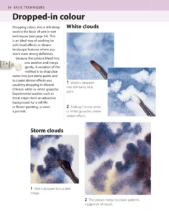 The Watercolour Artist's Bible - M. Scott -Painting Tool Shop page8 f292bec3 e117 4232 aae4 36096963b11d