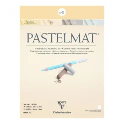 Clairefontaine PASTELMAT Card For Pastel 360gsm - 170Ib - 12 Sheets -Painting Tool Shop pastelmat no1