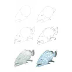 How To Draw Sea Creatures In Simple Steps - J. Newey -Painting Tool Shop ss how to draw sea creatures 9781800921016 02